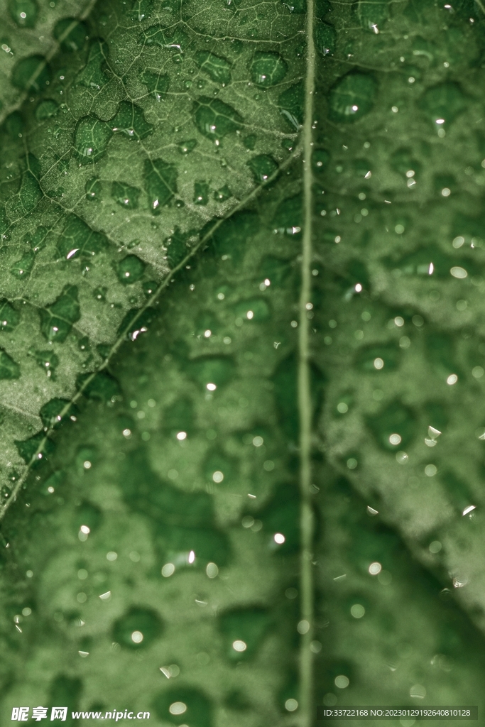 水滴水珠