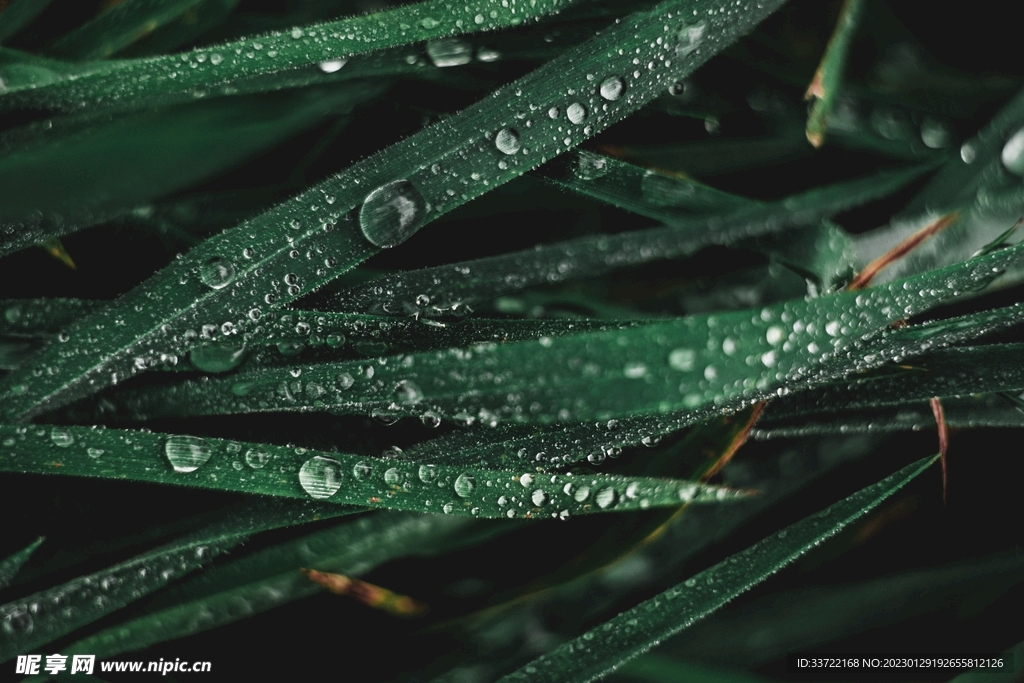 水滴水珠