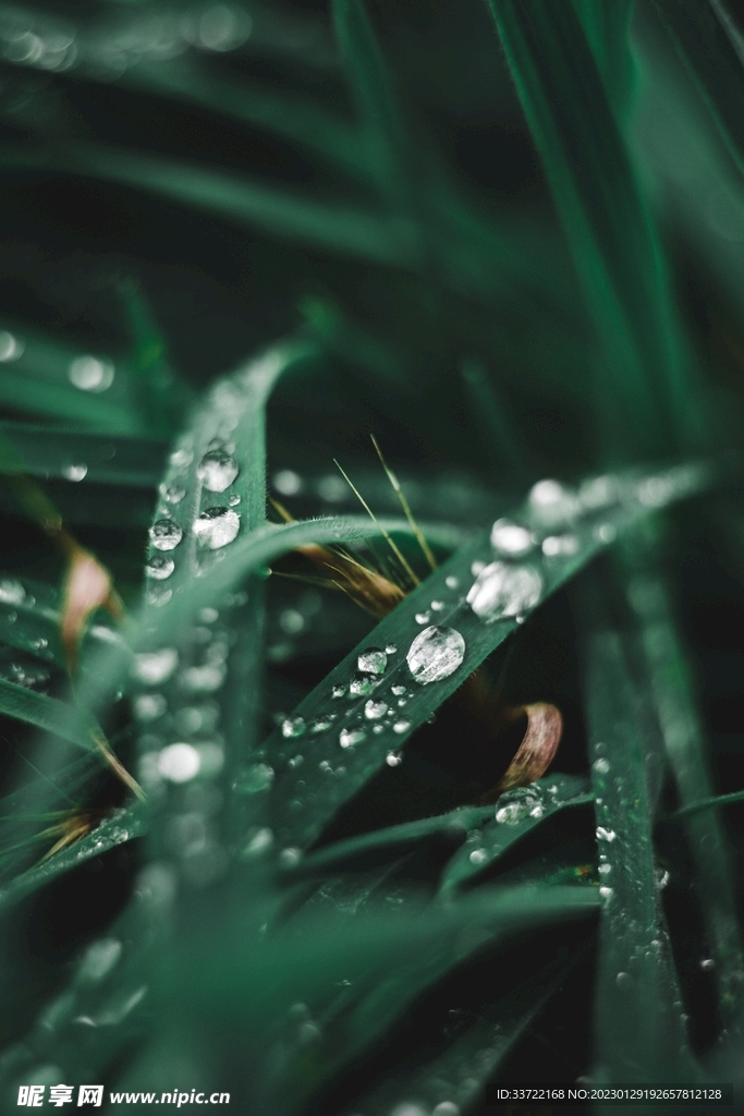 水滴水珠