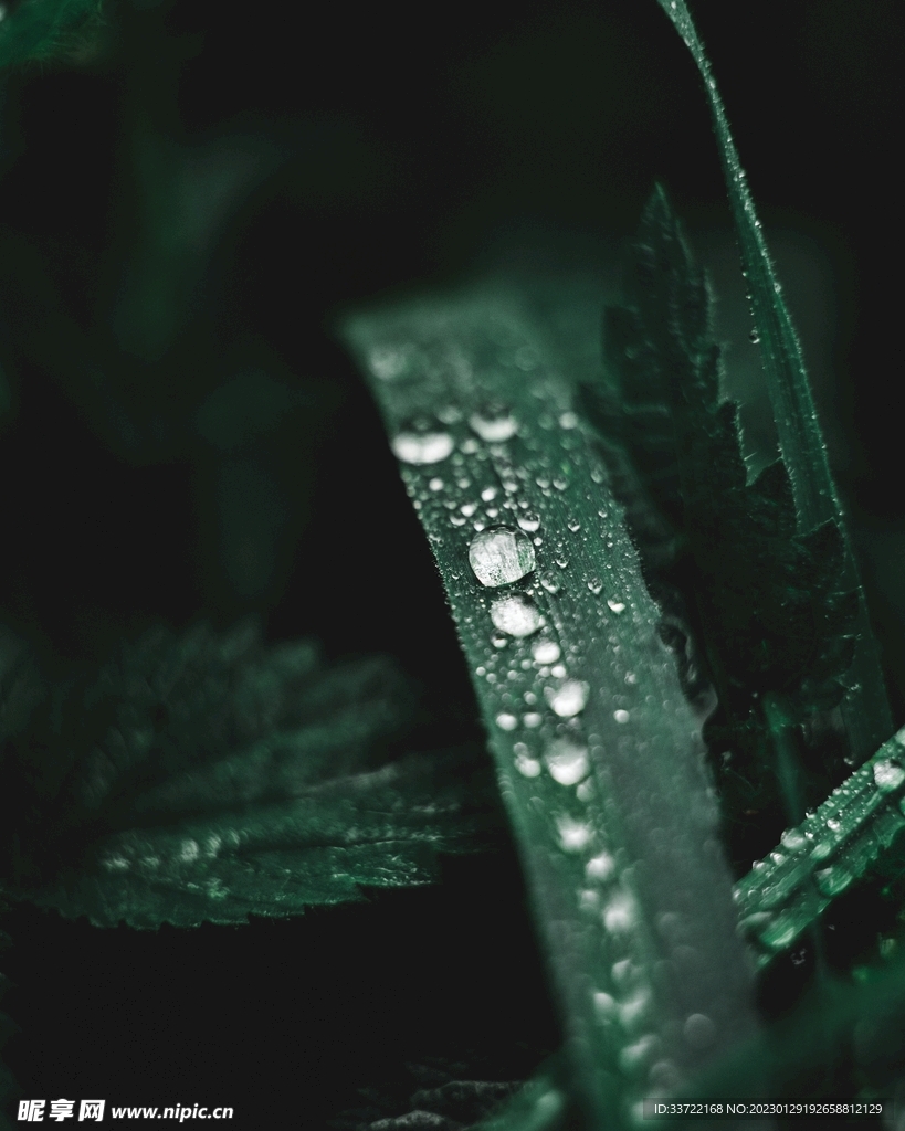 水滴水珠
