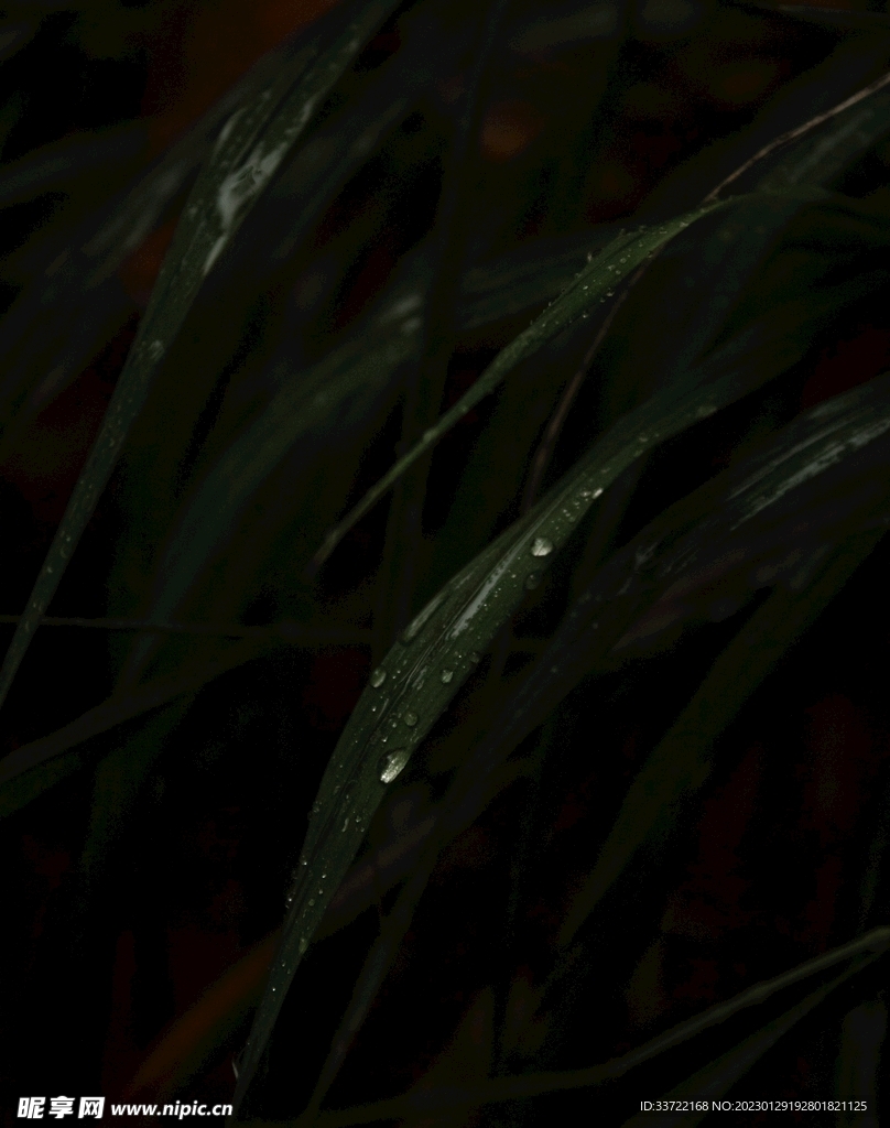 水滴水珠