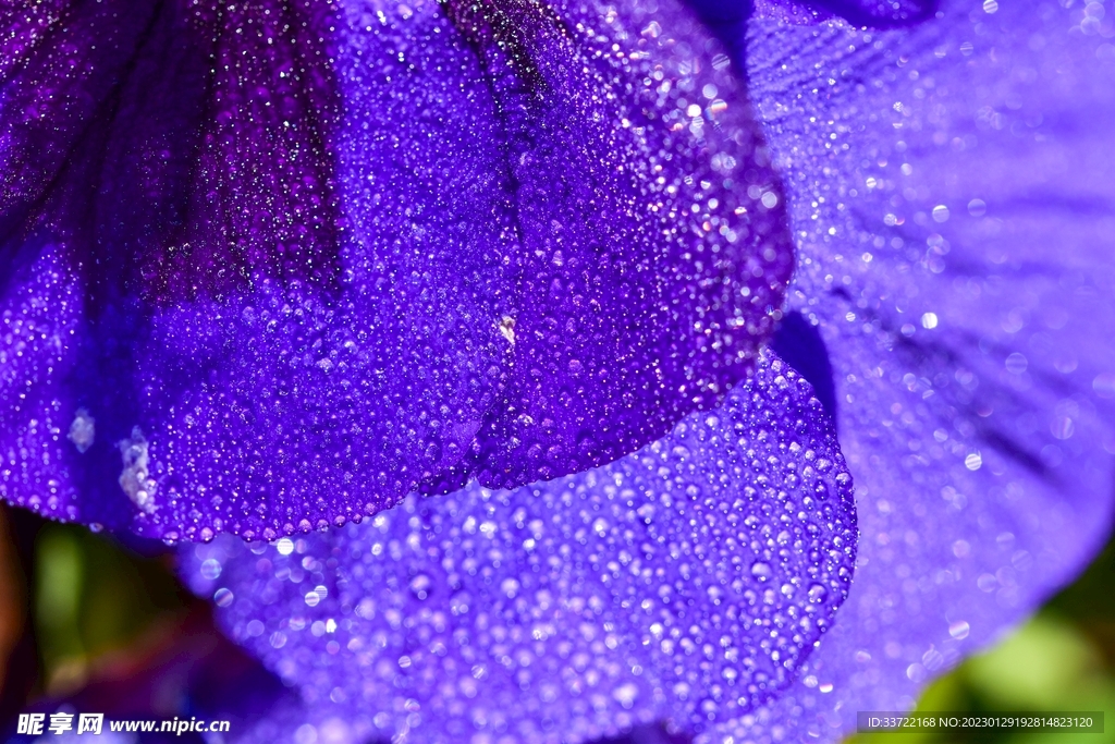 水滴水珠