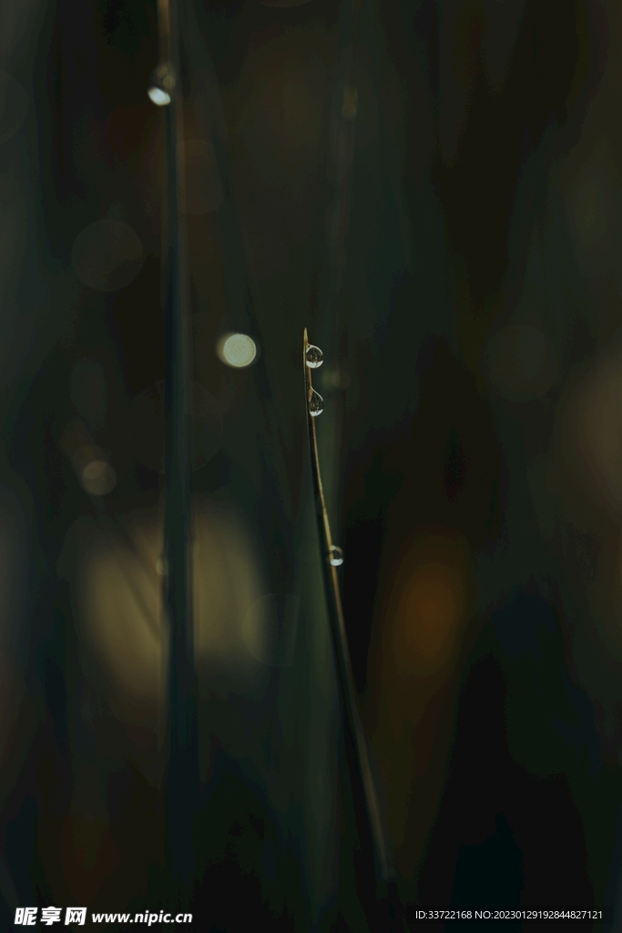 水滴水珠