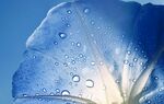 水滴水珠