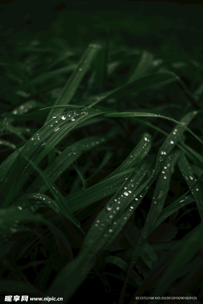 水滴水珠