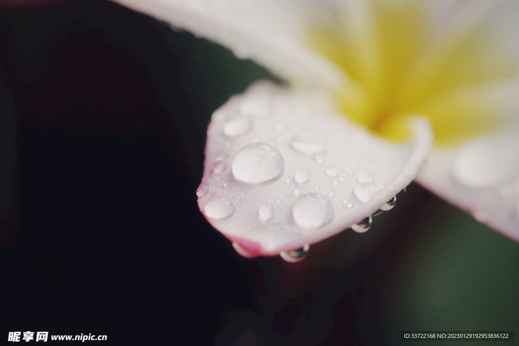 水滴水珠