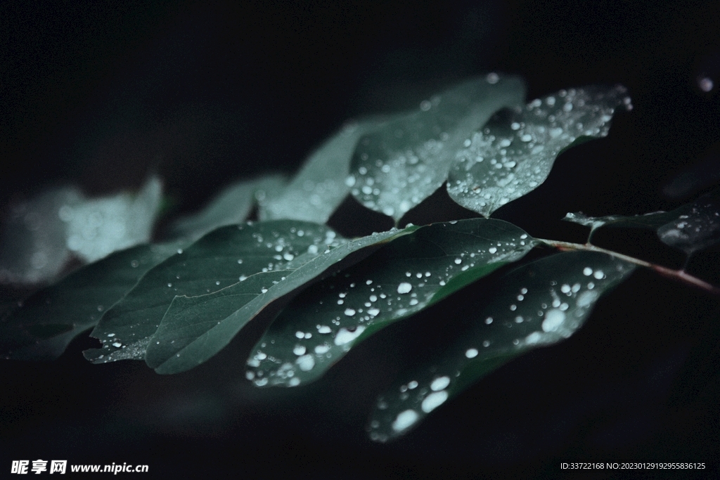 水滴水珠