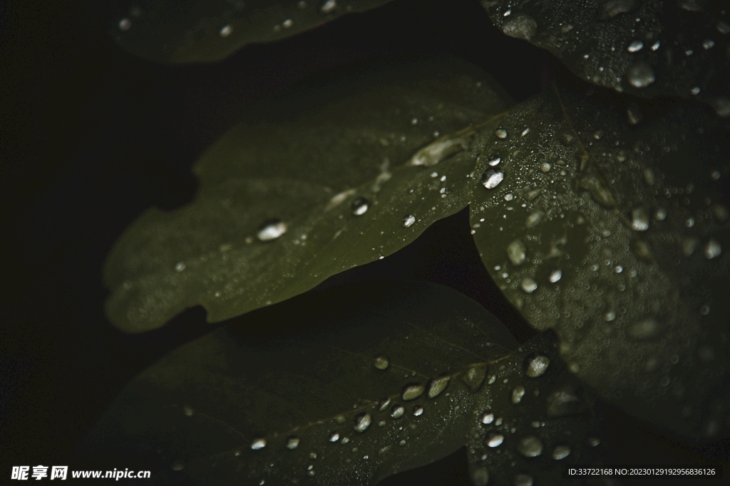 水滴水珠
