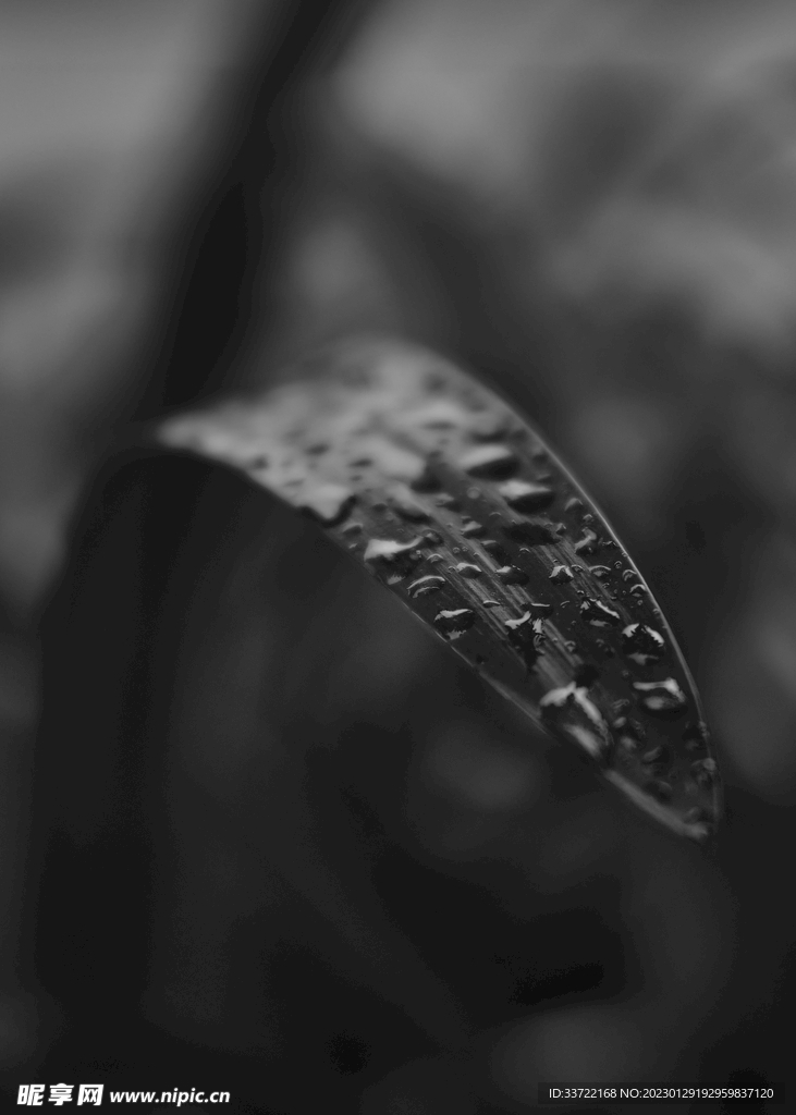 水滴水珠