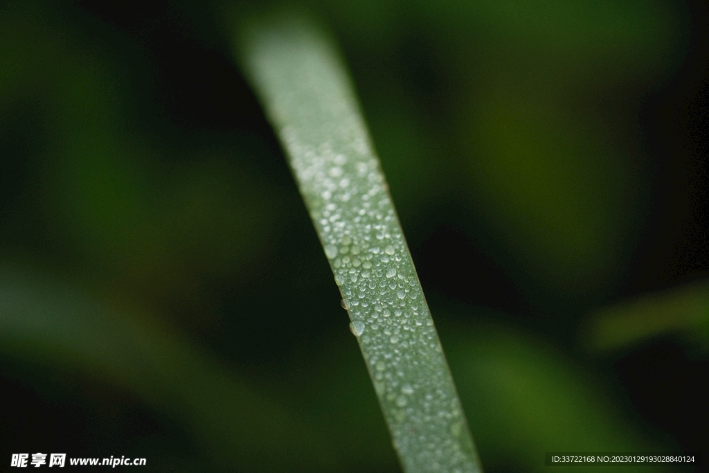 水滴水珠