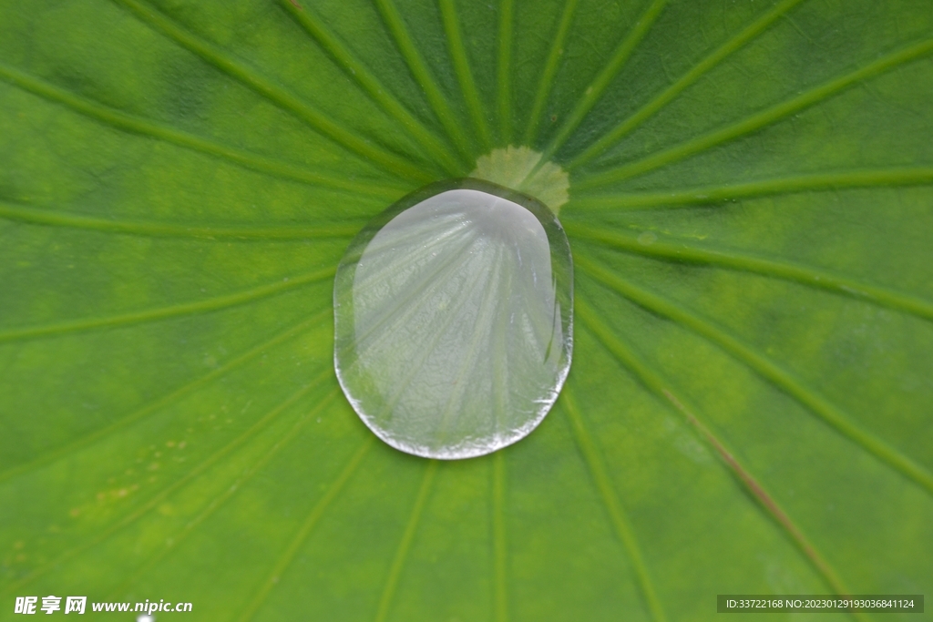 水滴水珠