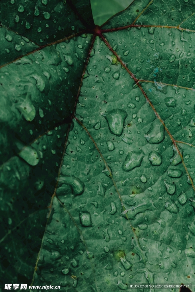 水滴水珠