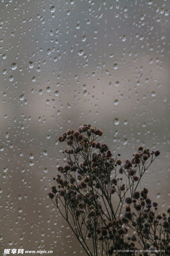 水滴水珠