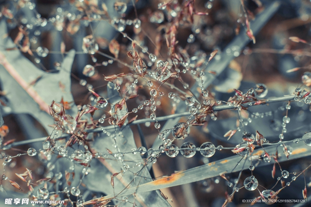 水滴水珠