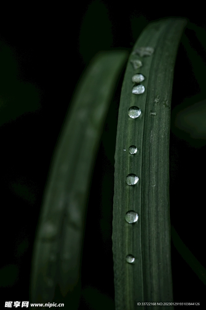 水滴水珠