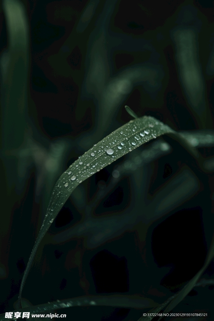 水滴水珠