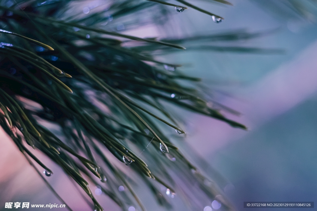 水滴水珠