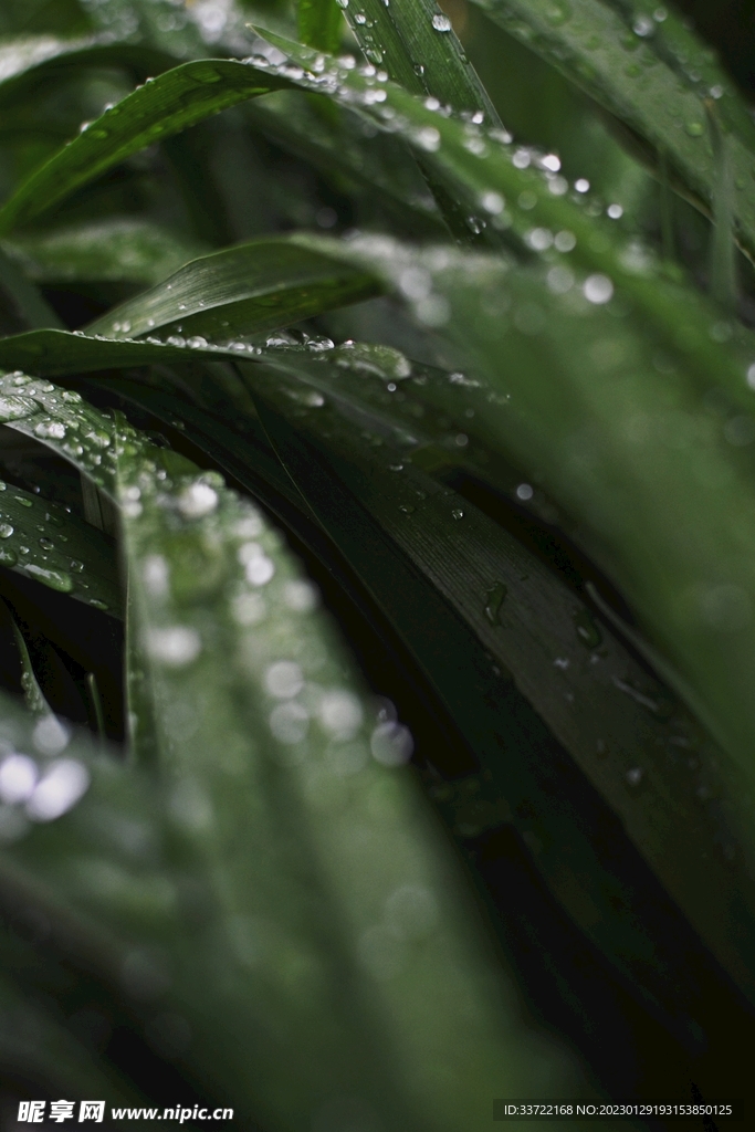 水滴水珠