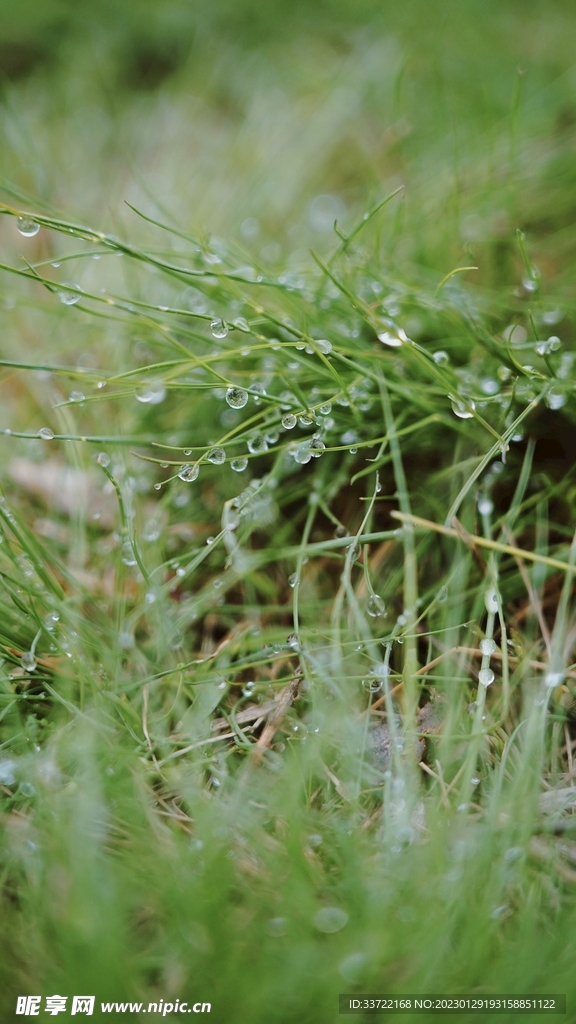 水滴水珠