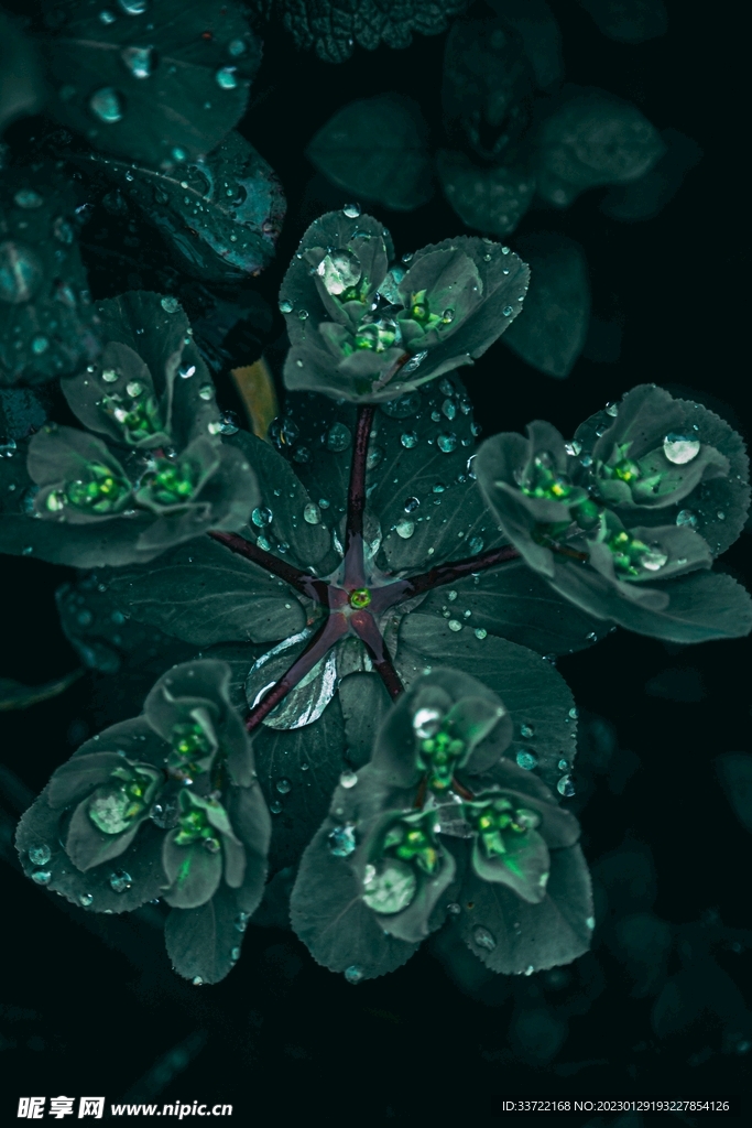 水滴水珠