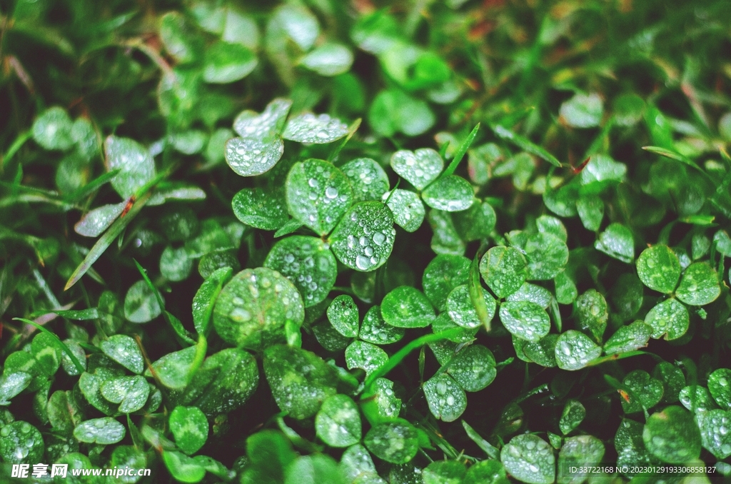 水滴水珠