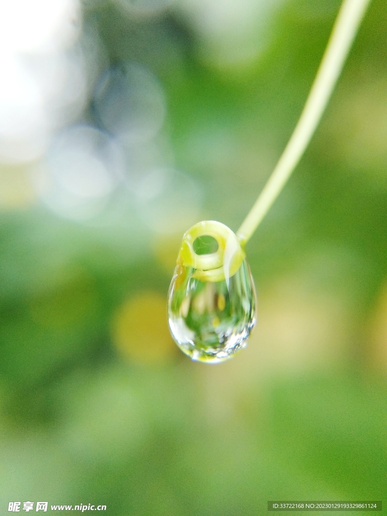 水滴水珠