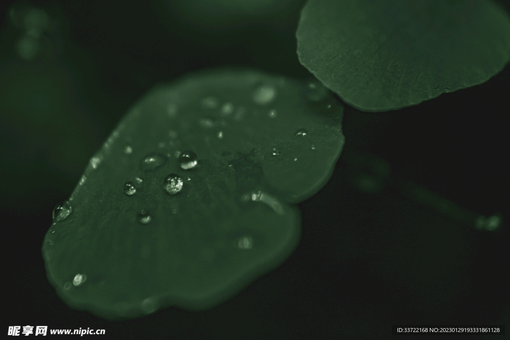 水滴水珠