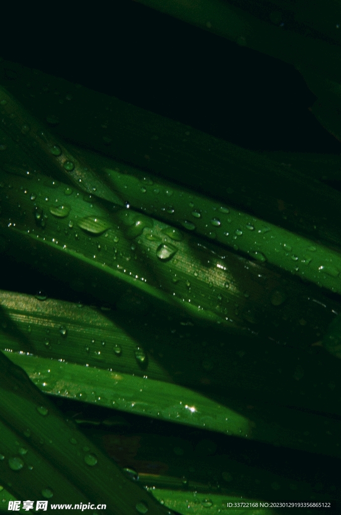 水滴水珠