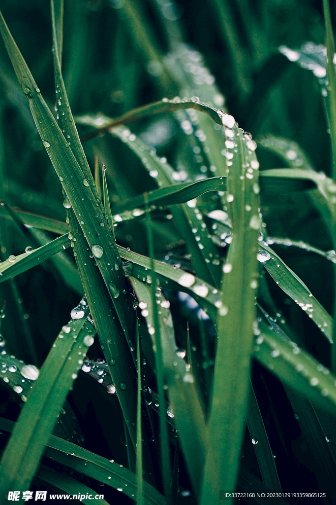 水滴水珠