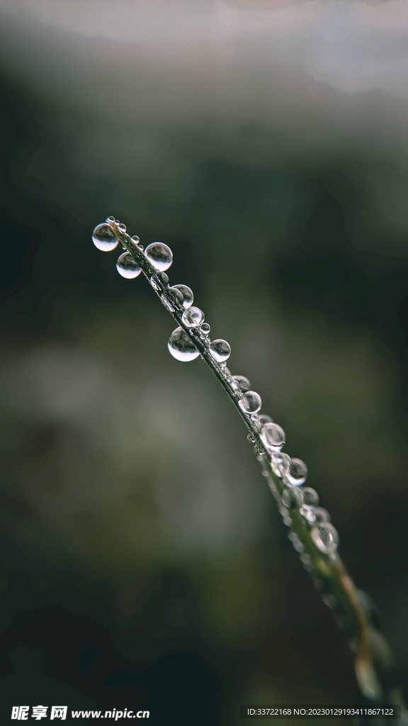 水滴水珠