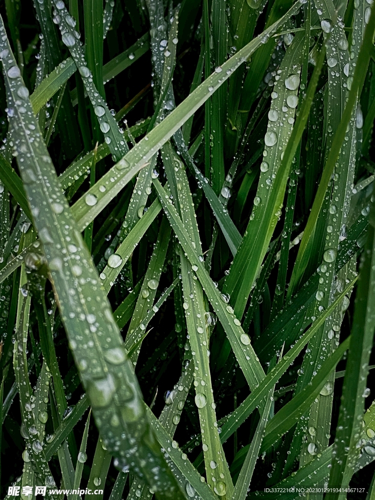 水滴水珠