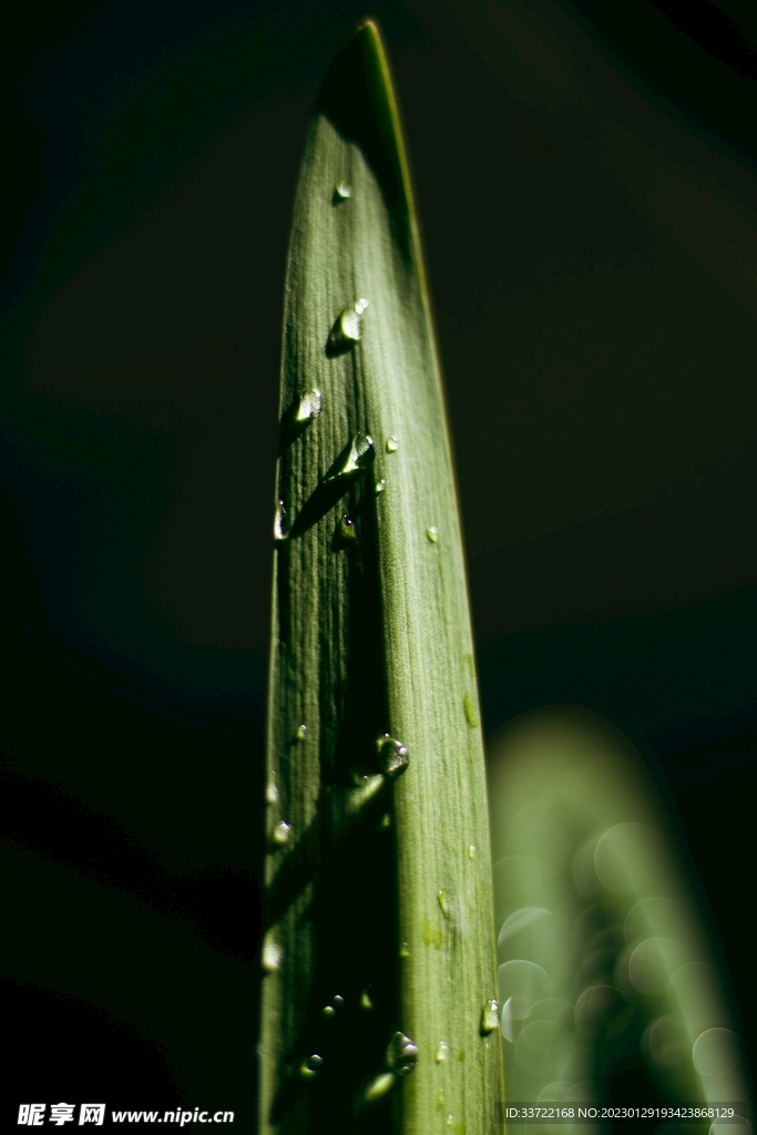 水滴水珠