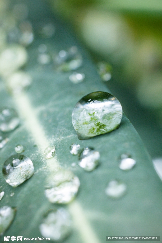 水滴水珠