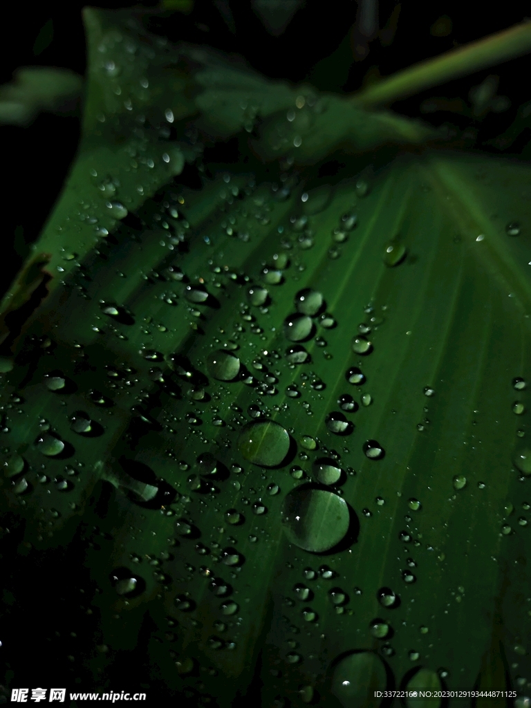 水滴水珠