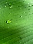 水滴水珠
