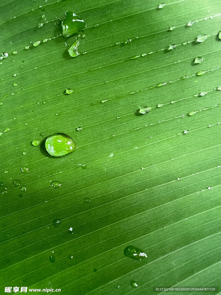 水滴水珠