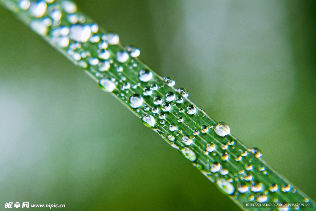 水滴水珠