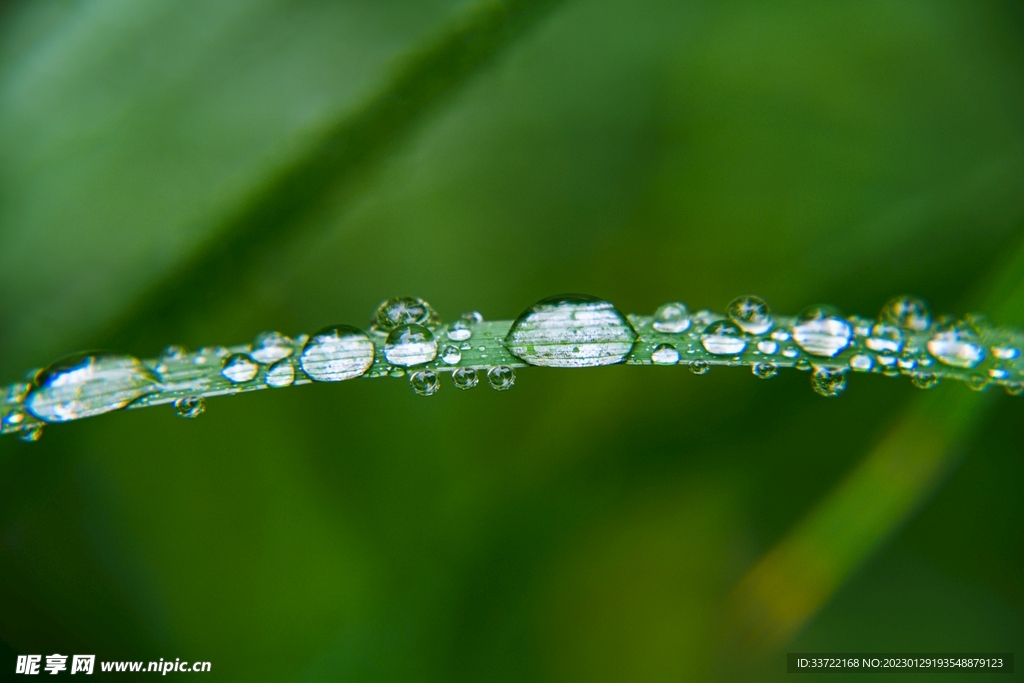 水滴水珠