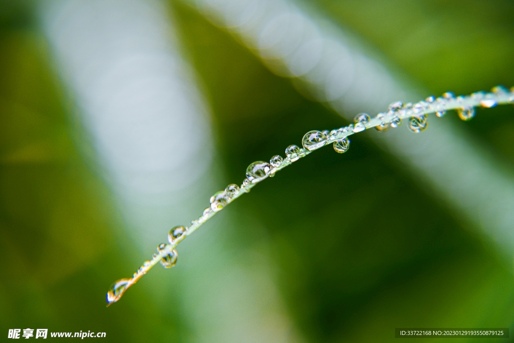 水滴水珠