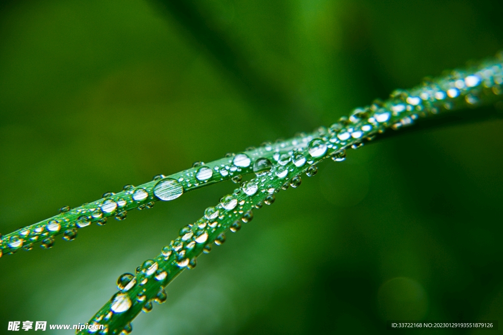 水滴水珠