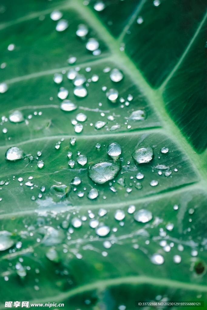 水滴水珠