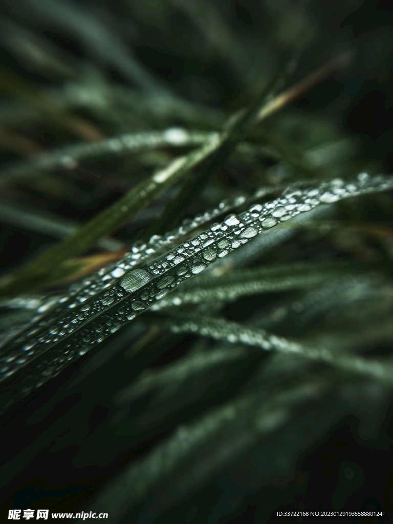 水滴水珠