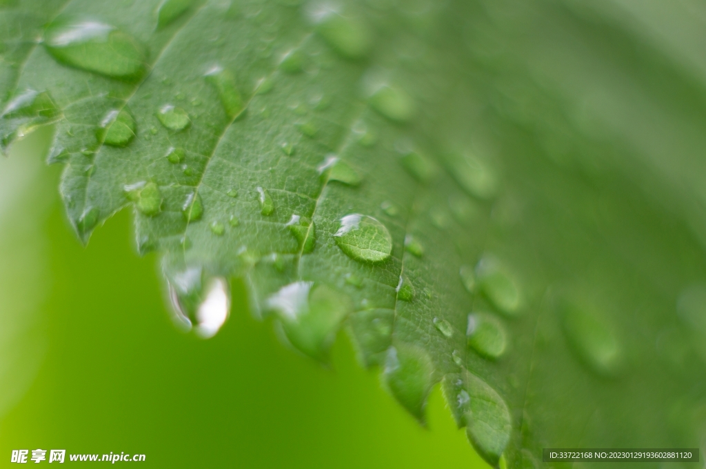 水滴水珠