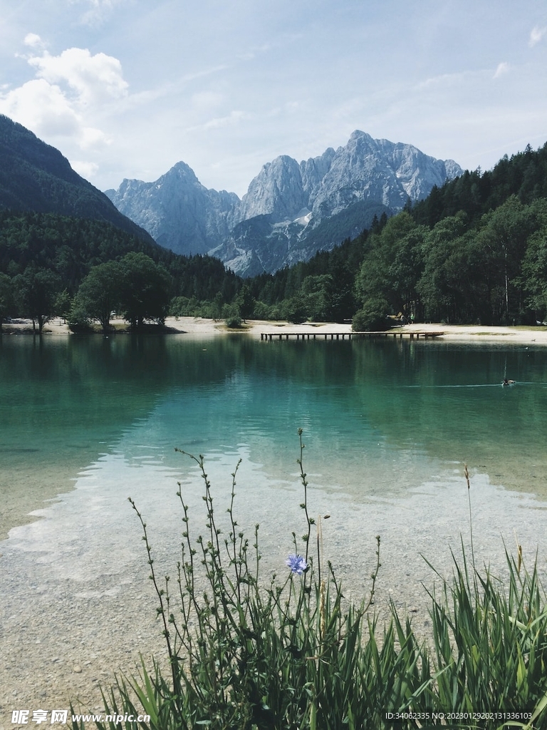 山