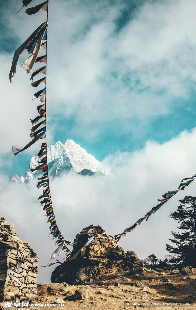山