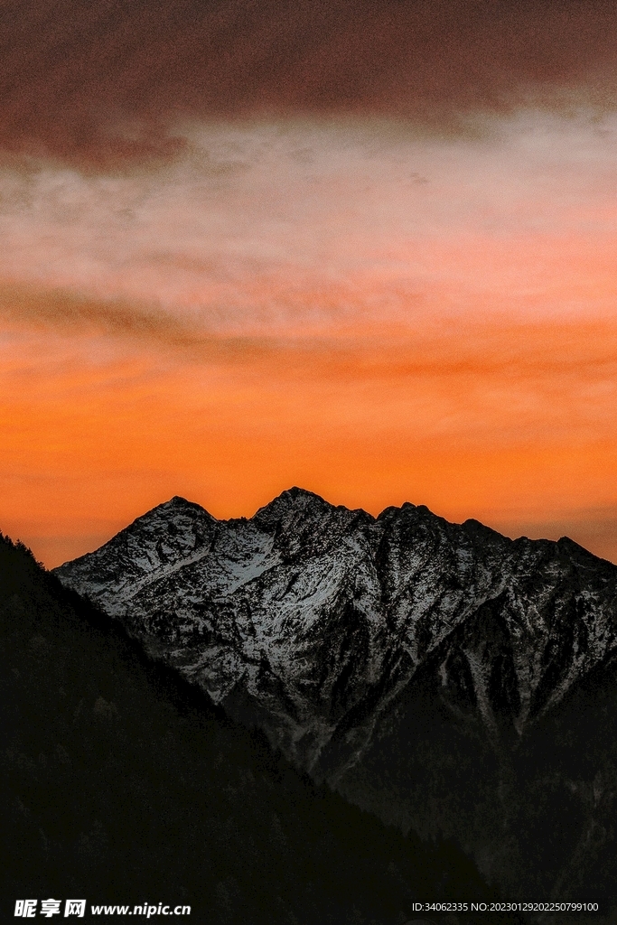 山