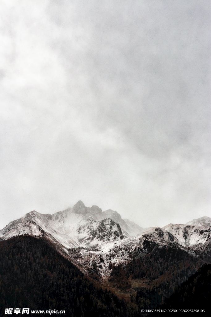 山