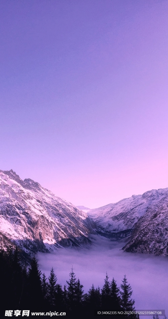 山