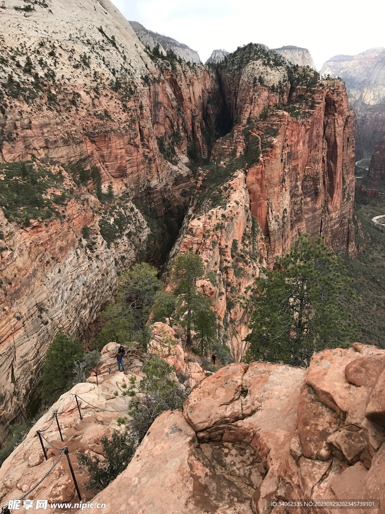 山