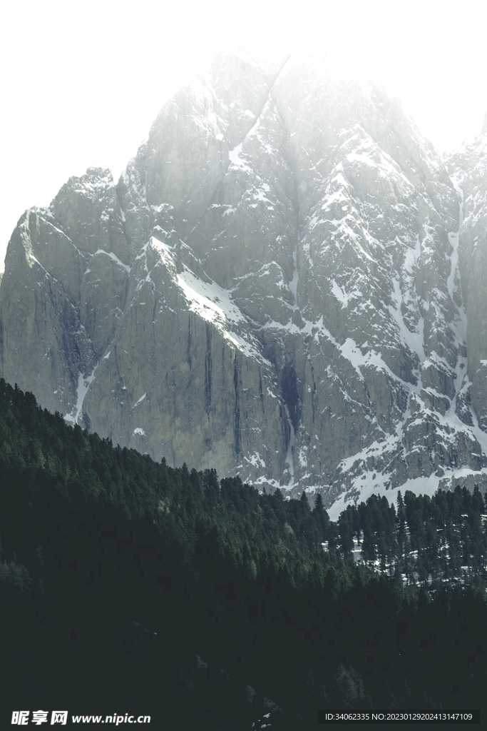 山